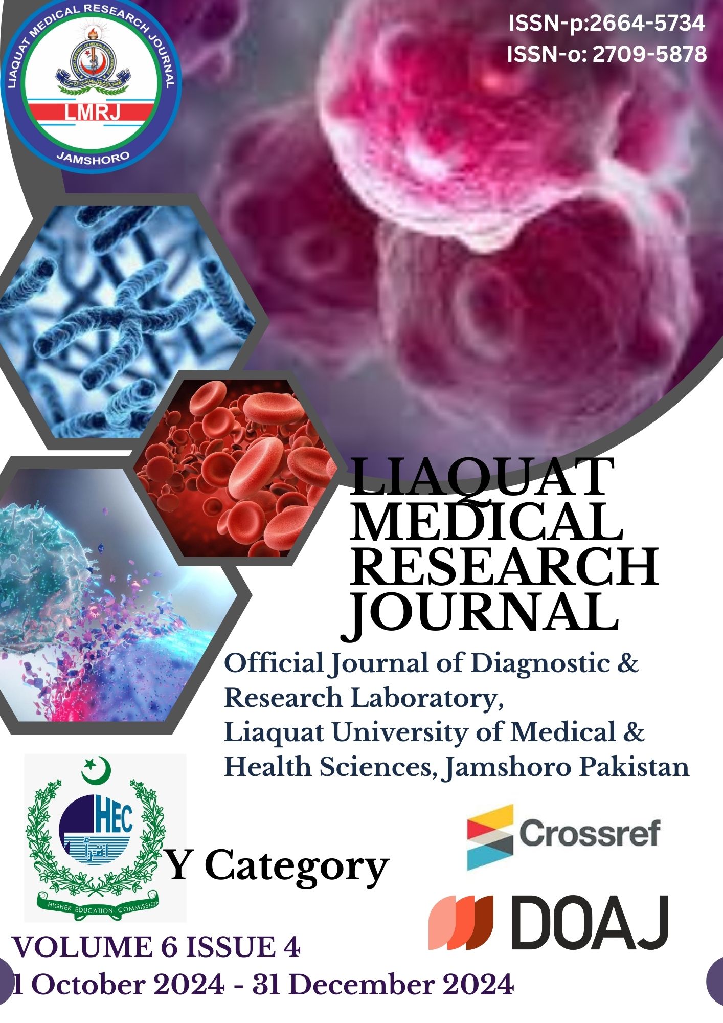 					View Vol. 6 No. 4 (2024): Liaquat Medical Research Journal 
				