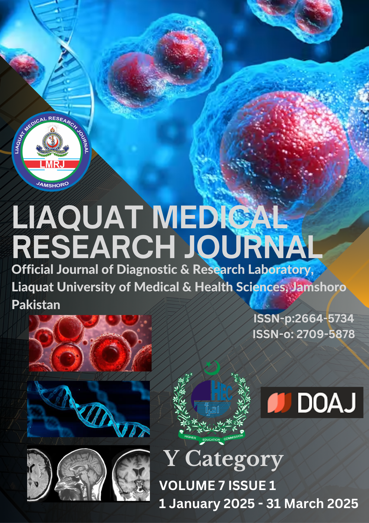 					View Vol. 7 No. 1 (2025): Liaquat  Medical Research Journal (LMRJ)
				